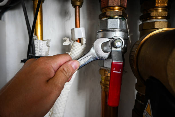 Best Plumbing Inspection Services  in Eagle Lake, TX